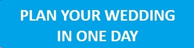 PLAN YOUR WEDDING INE ONE DAY