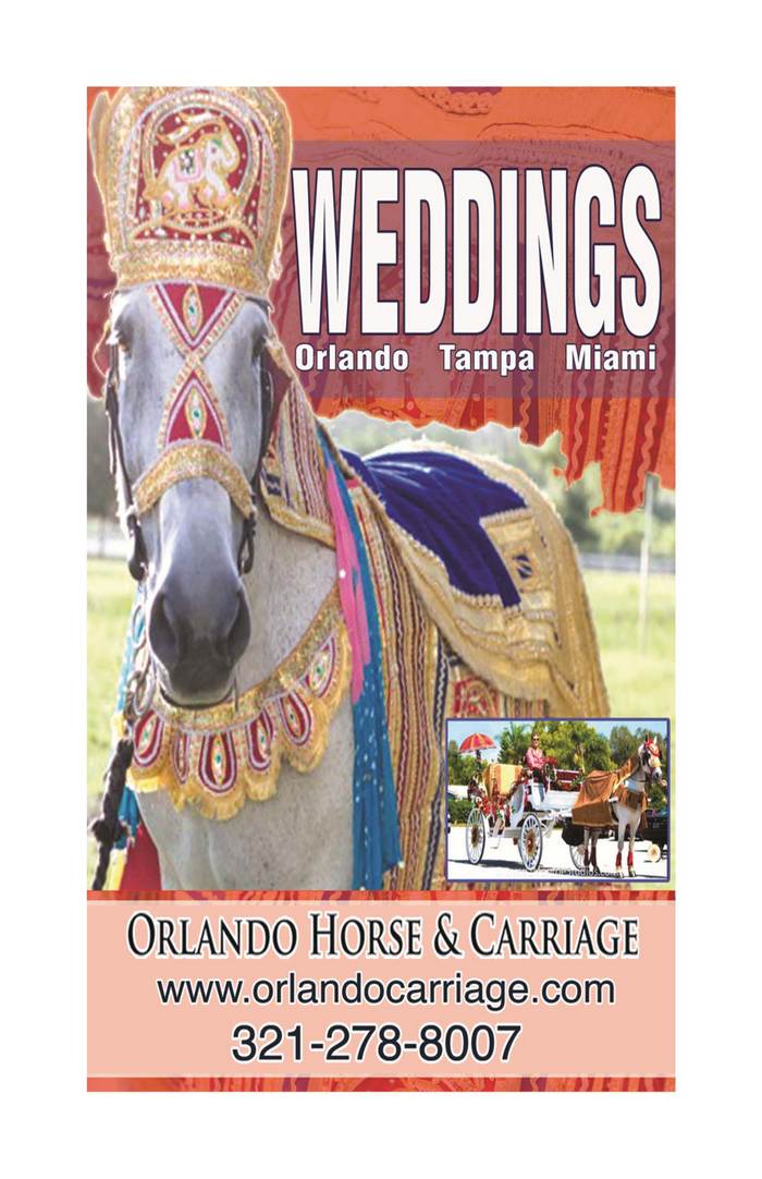 Orlando Carriage Rides Inc