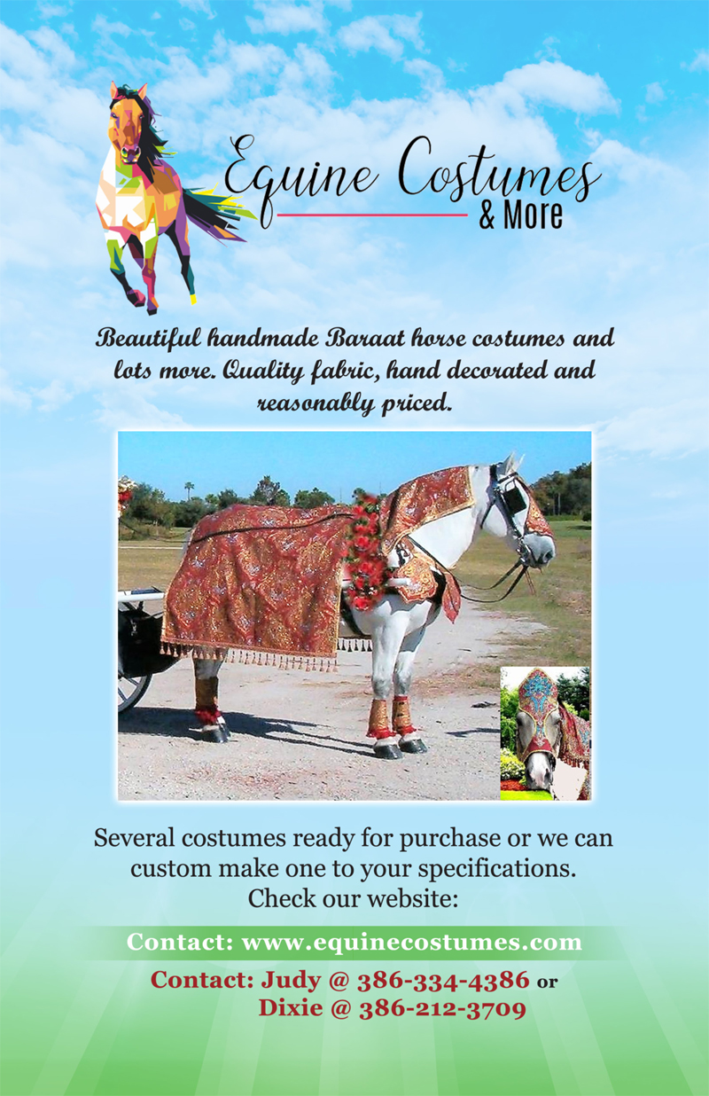 Equine Costumes & More